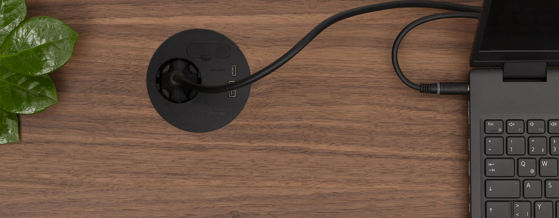 A black power cable is plugged into a round socket on a wooden desk next to a partially visible laptop; green leaves are visible on the left side of the image.