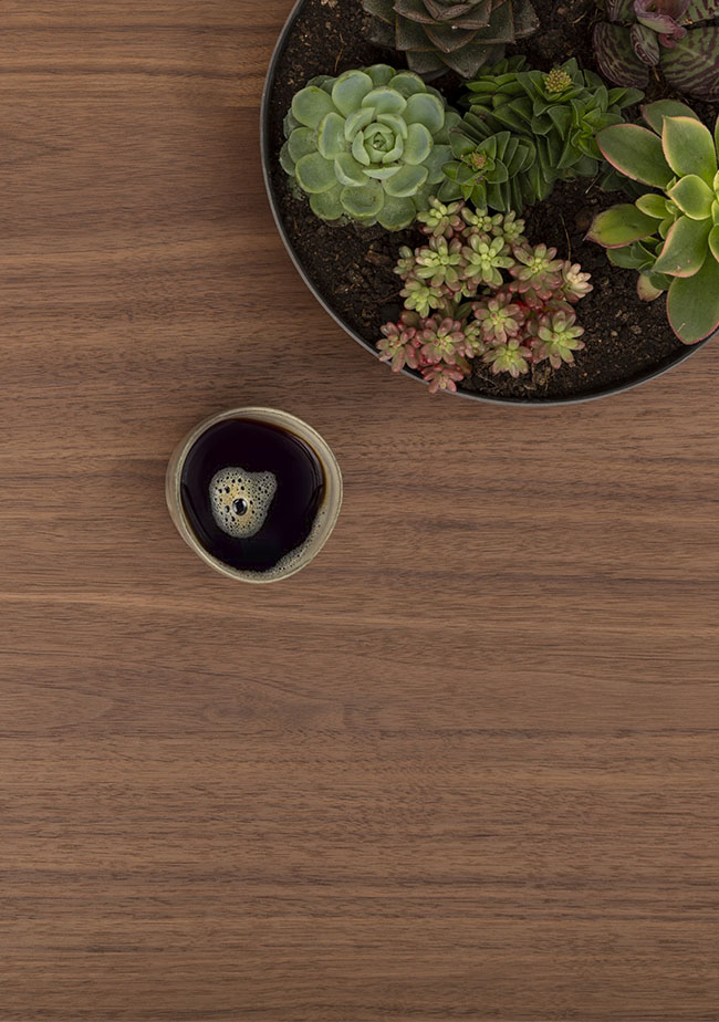 A small cup of black coffee sits on a wooden surface next to a round pot filled with various colorful succulents, shot from above.