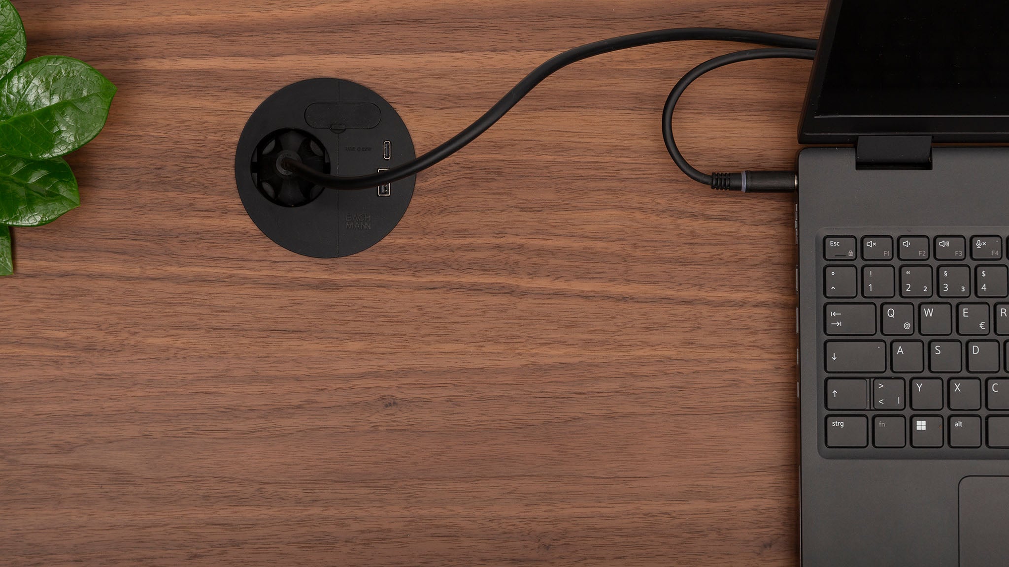 A black laptop plugged into a cable management port on a wooden desk, with a green plant partially visible on the left side. The cable runs from the port to the laptop.