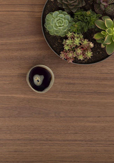 Die Glastasse FOCUS von CUBE Products & Furniture verleiht Ihrem schwarzen Kaffee neben einer runden, saftigen Kanne einen stilvollen Touch - ideal für kompakte Arbeitsbereiche oder gemütliche Home-Office-Einrichtungen.