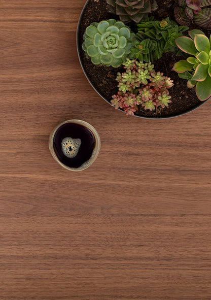 A small cup of black coffee sits on a wooden surface next to a round pot filled with various colorful succulents, shot from above.